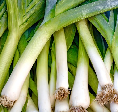Leek giant winter seeds - leek,