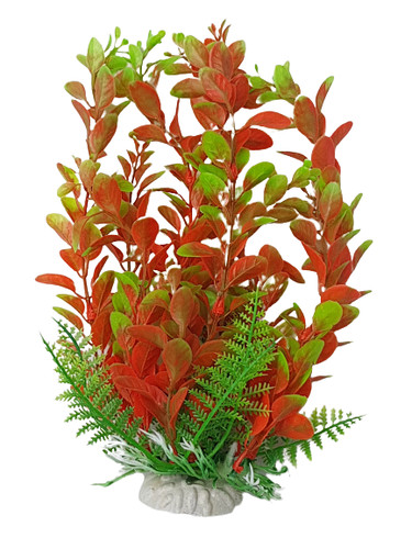 Inch tall red green - red, &