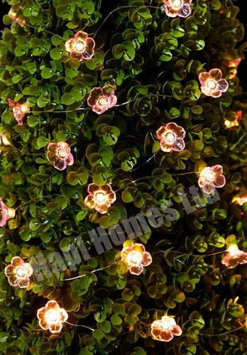 Cherry blossom solar - cherry,