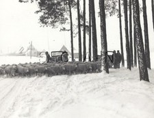 WWII Large (4.75 x 3.75) RP-