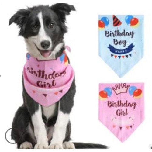 Pet dog birthday bandana - dog,