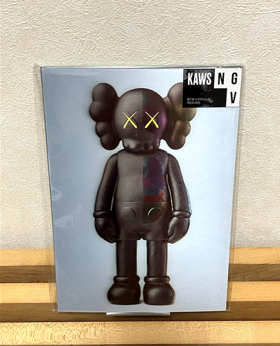 Rare kaws companion ngv - kaws,