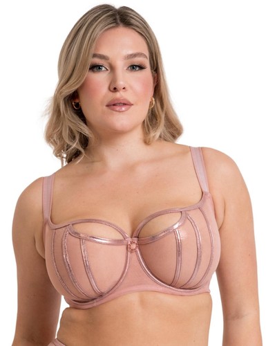 Scantilly curvy kate eos - scantilly, by