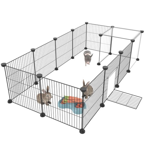Rabbit run puppy - run, with