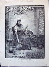 Old Print Brooke'S Monkey