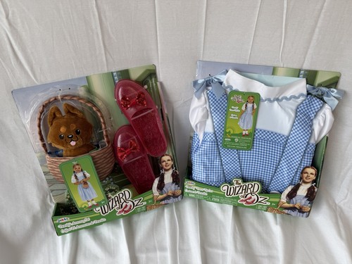 Wizard dorothy costume - wizard, oz