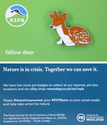 Rspb pin badge niic - niic, fallow