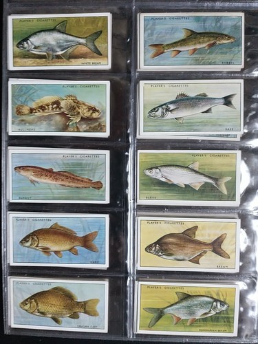 Players full set fresh water - players-full,
