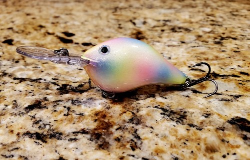Custom painted rapala - rapala, dt-8