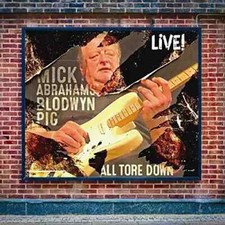 All Tore Down Live - Mick