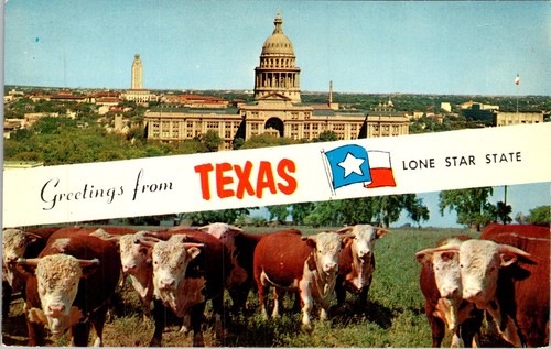 1950s plastichrome postcard - 1950s,