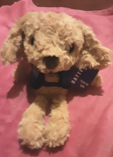 Battersea dogs home soft - 9",