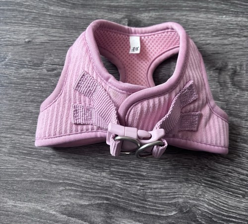 Pets home pink puppy - home,