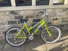 Raleigh Mountain Bike 26-inch