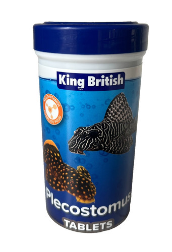King british plecostomus - king,