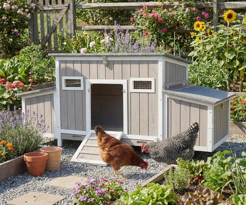 Petscosset chicken coop for - 62"chicken,