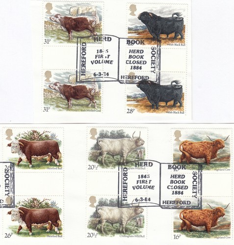 Cattle gutter pairs - gutter, used