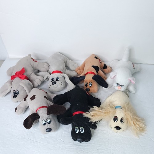 Pound puppies and purries - pound, lot