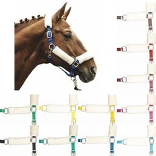 Horse Headcollar Halter Padded