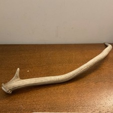 GENUINE - DEER ANTLER 18 inch long - single point