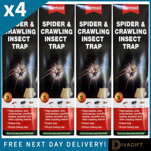 Rentokil spider glue traps - glue,