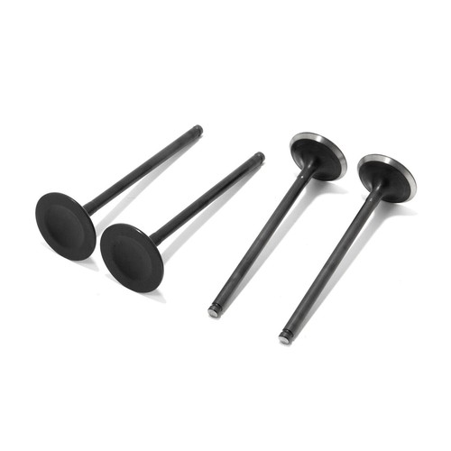 Intake exhaust valves kit for - intake,