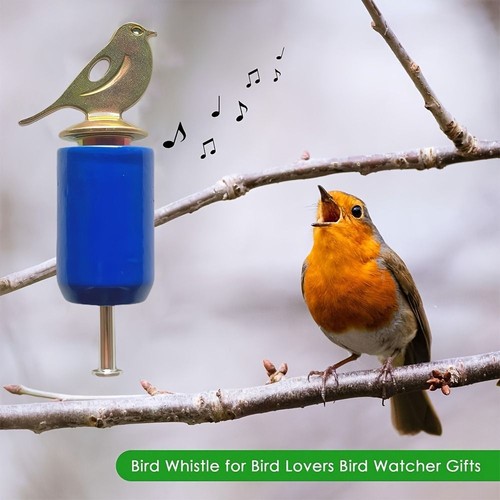 Wooden bird call - call, toys