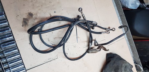 Triumph sprint 1050 abs - triumph, st