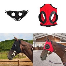 Riding Goggles, Horse