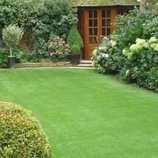 20kg Back Lawn Grass Seed - Top Selling All Purpose Mix, Hard Wearing