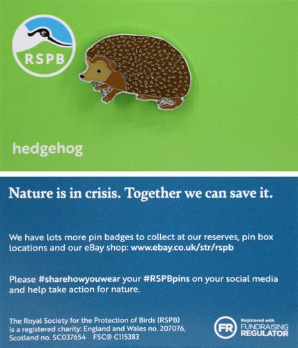 Rspb pin badge niic hedgehog - rspb,