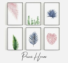 FERN ART BOTANICAL PRINT