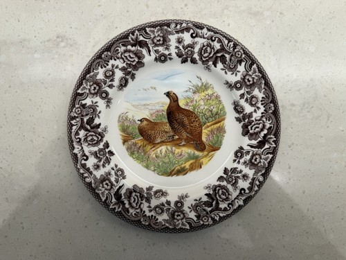 Spodewoodland grouse side - grouse,