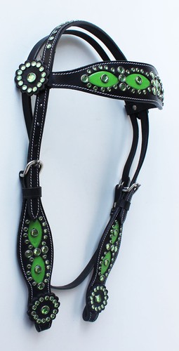 Horse show tack - horse, bridle