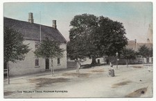 Postcard The Walnut Tree Higham Ferrers Northamptonshire - A1043