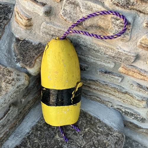 Authentic maine lobster - lobster, buoy