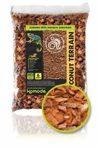 Komodo coconut terrain reptile - terrain,