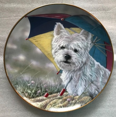 Westie dog decorative plate - dog,