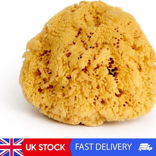 Real sea sponge for - for,