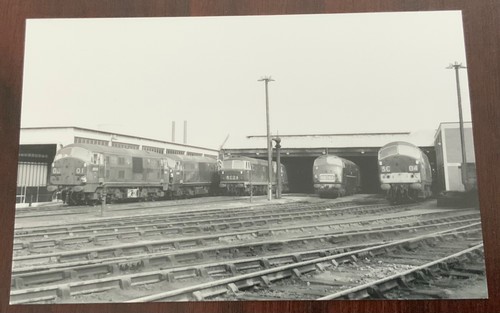Vintage photo newton - vintage, photo: