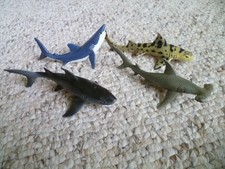 Safari Bundle Great White