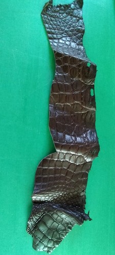 Dark brown crocodile - dark,