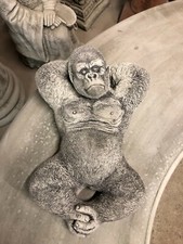 Gorilla silverback chilling