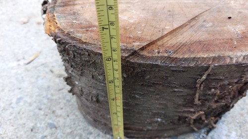 Cherry wood - cherry,
