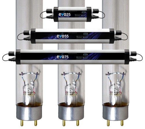 Osram evolution aqua bulb - osram, uv
