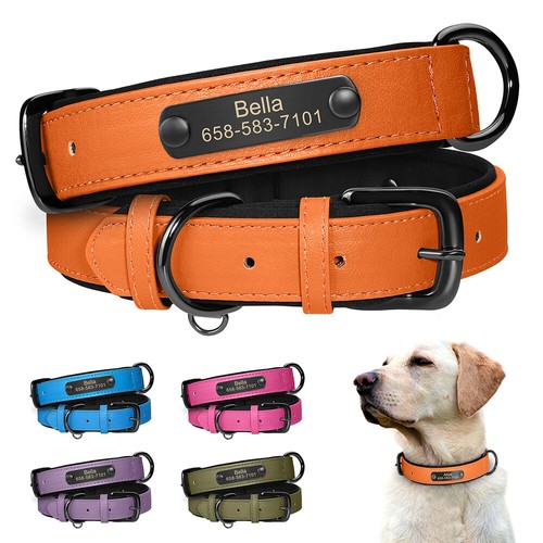 Personalised dog collar custom - dog,