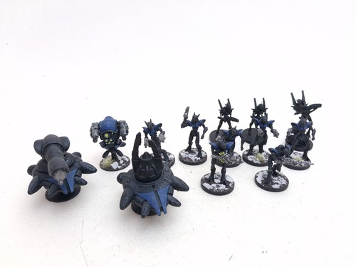 Firefight asterian clade - asterian,