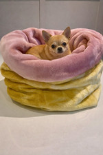 Snuggle sack, chihuahua pocket