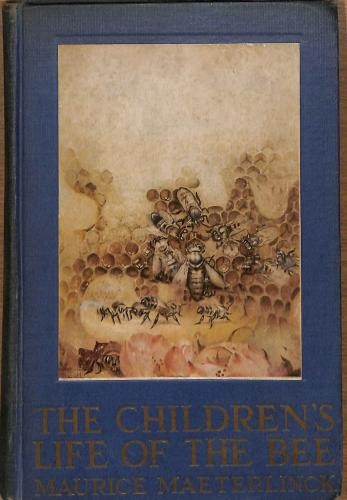 Children life the - children's,