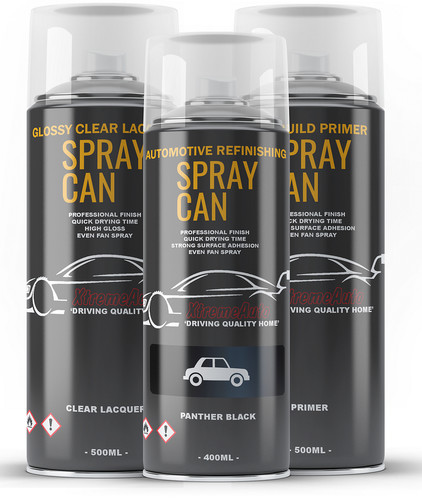 Aerosol spray paint - paint, kit